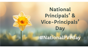 National Principals' and Vice-Principals' Day A tall daffodil against a background of daffodils and a blurry, sunny scene in the distance.